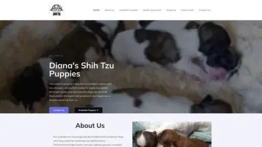 Screenshot of