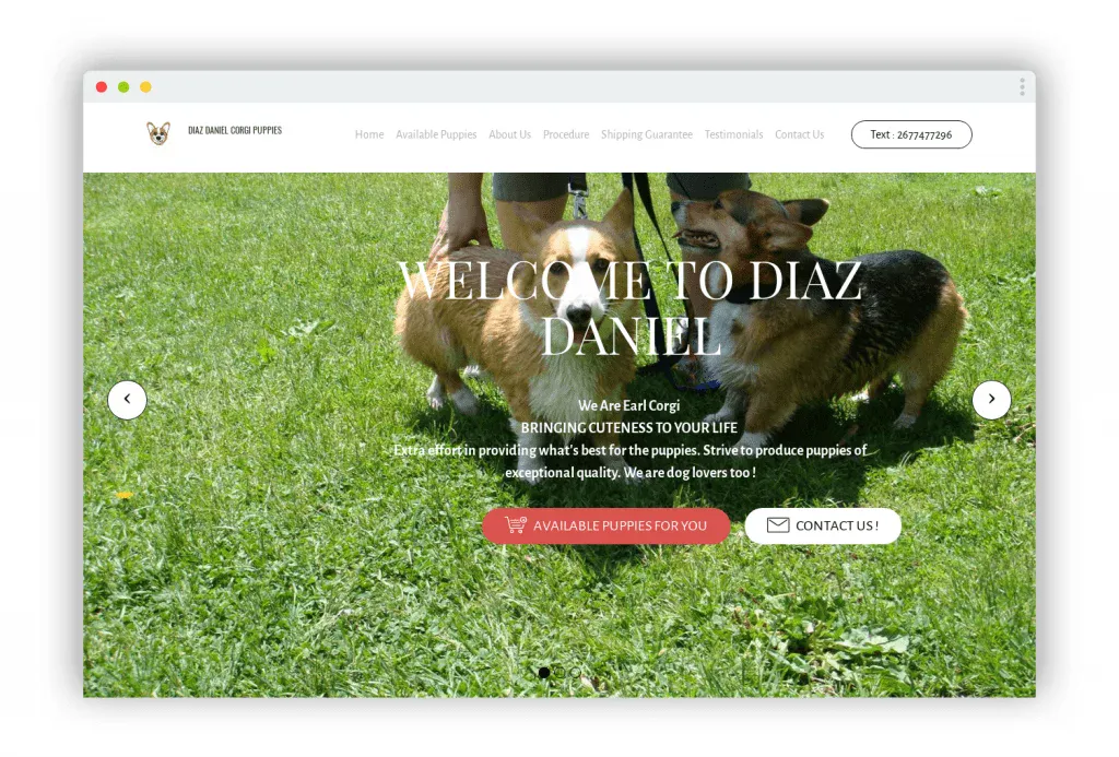 Screenshot of|