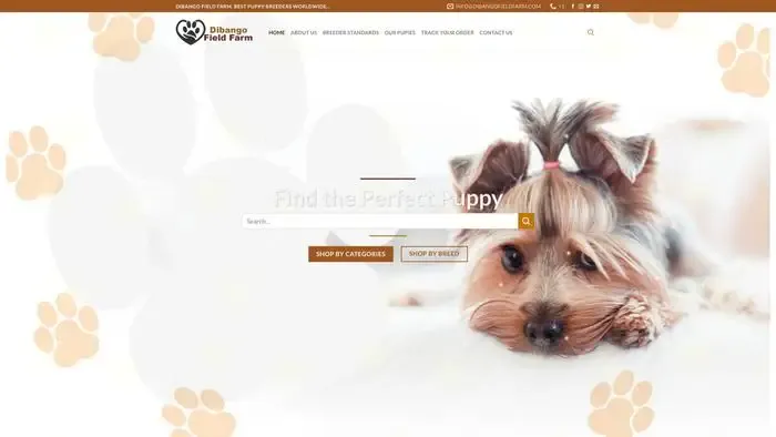 Screenshot of