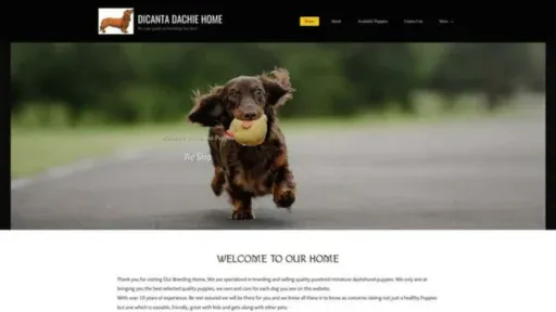 Screenshot of||