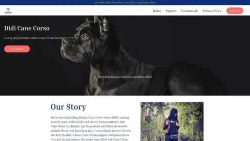 Screenshot of