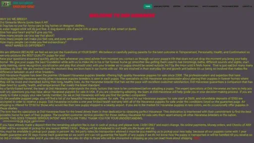 Screenshot of