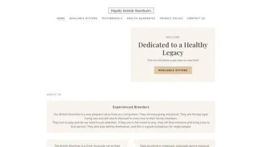 Screenshot of