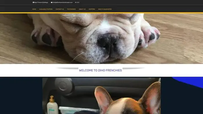 Screenshot of