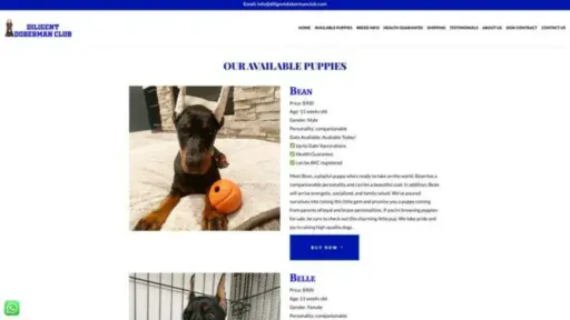 Screenshot of||