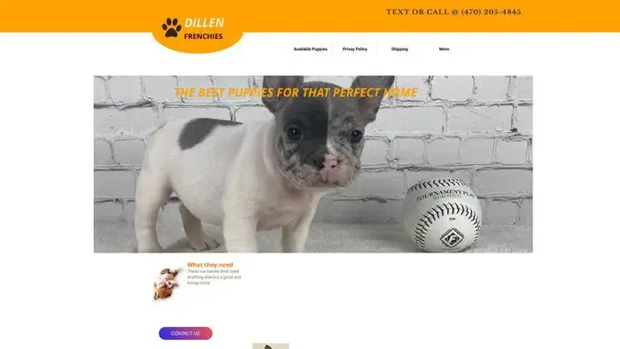 Screenshot of
