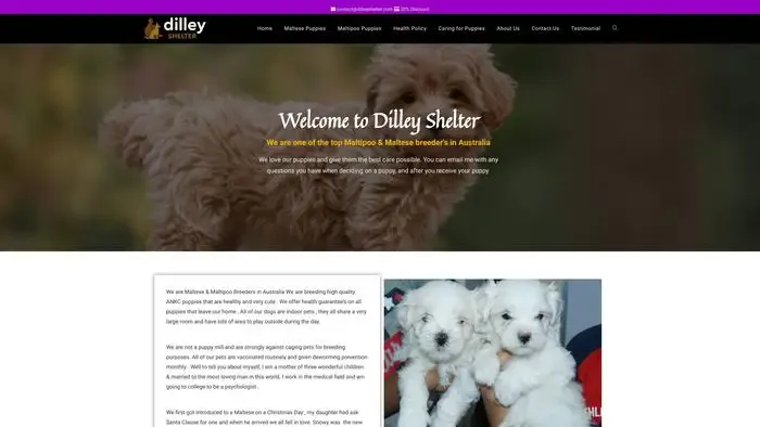 Screenshot of