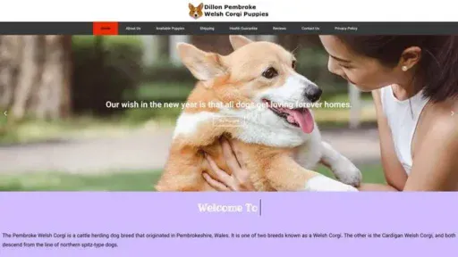 Screenshot of