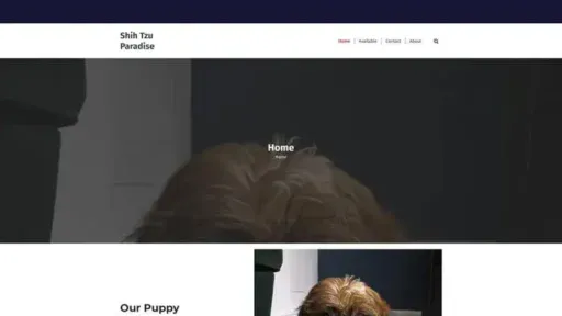 Screenshot of