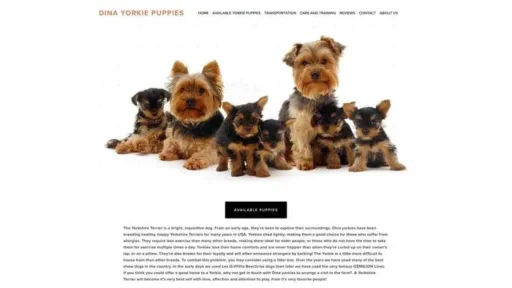 Screenshot of
