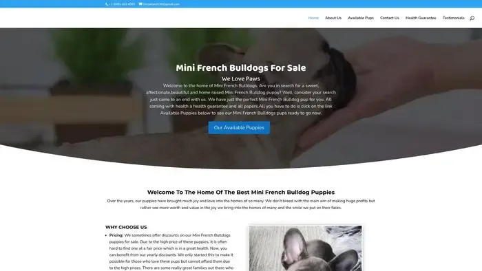 Screenshot of