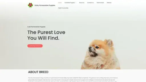 Screenshot of