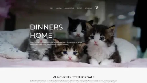 Screenshot of|