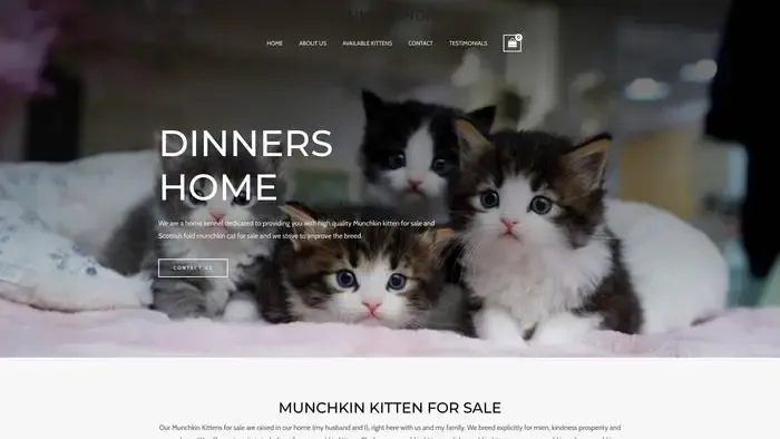 Screenshot of|