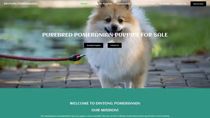 Screenshot of