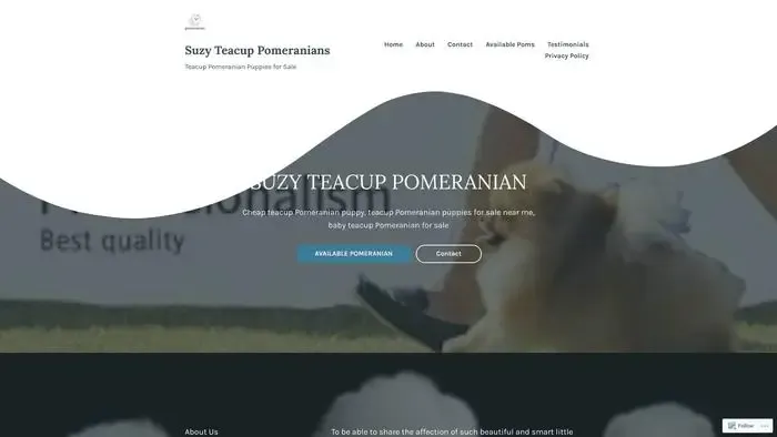 Screenshot of