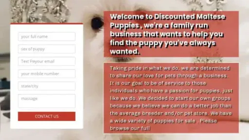 Screenshot of
