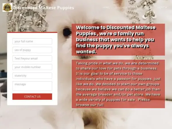 Screenshot of