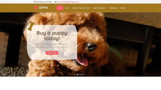 Screenshot of