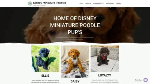 Screenshot of