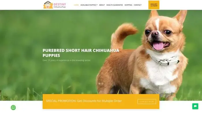 Screenshot of