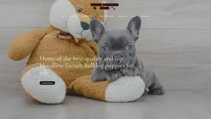 Screenshot of