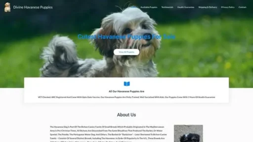 Screenshot of