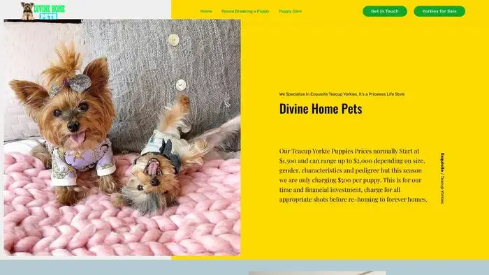 Screenshot of
