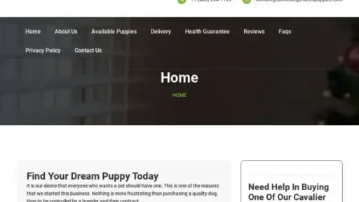 Screenshot of