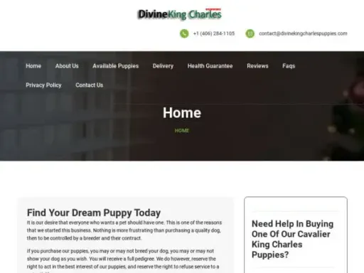 Screenshot of