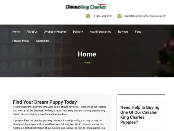 Screenshot of