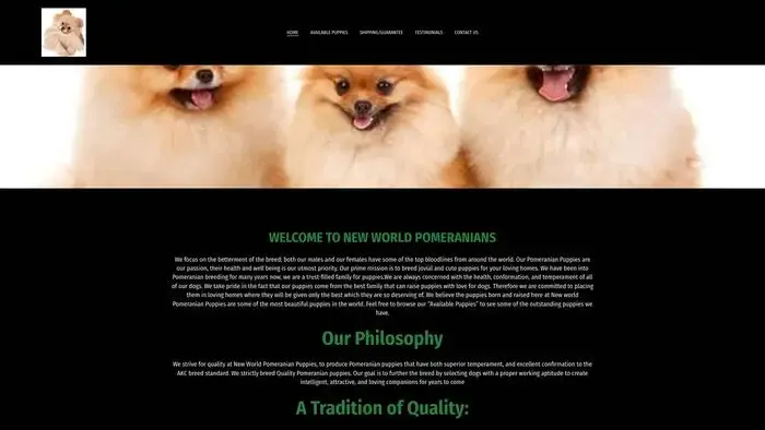 Screenshot of