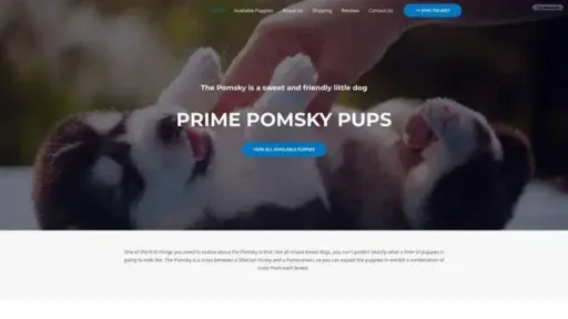 Screenshot of