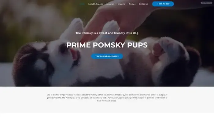 Screenshot of