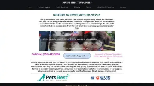 Screenshot of