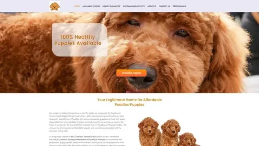 Screenshot of