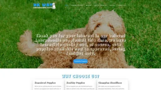 Screenshot of