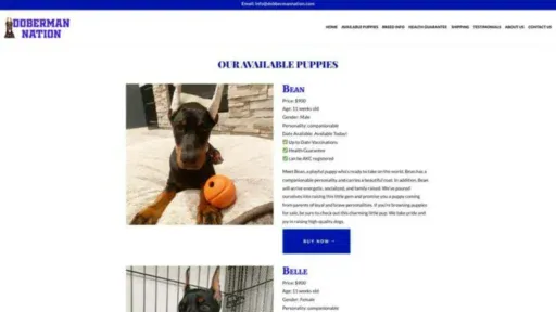 Screenshot of||