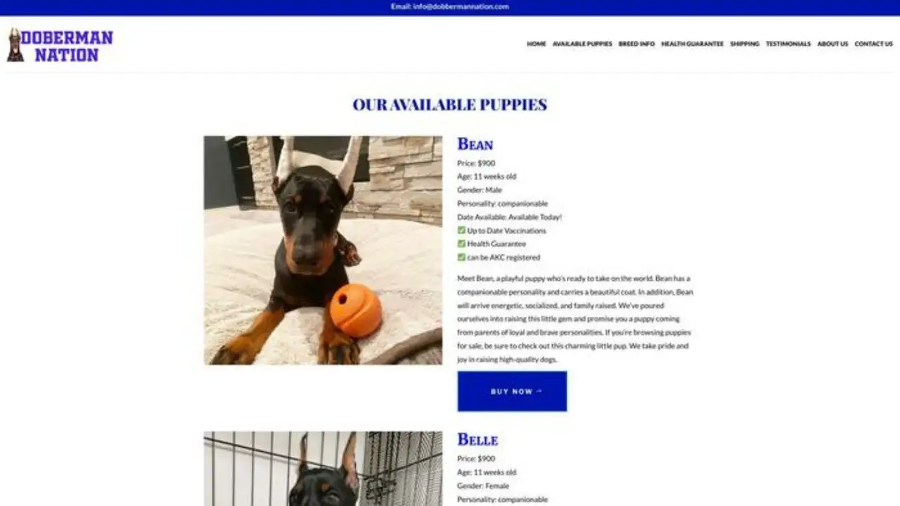 Screenshot of||