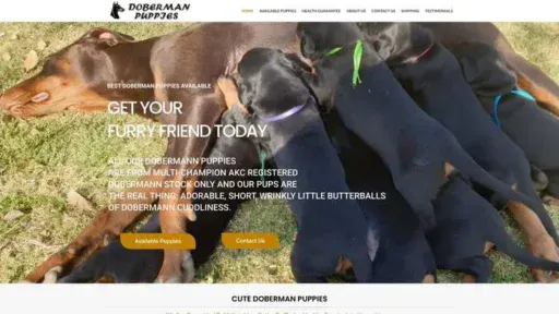 Screenshot of