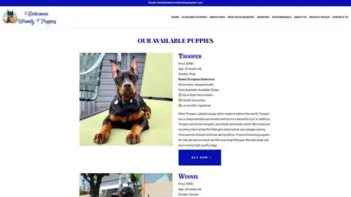 Screenshot of