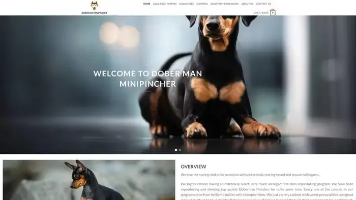 Screenshot of