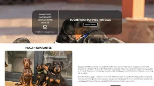 Screenshot of