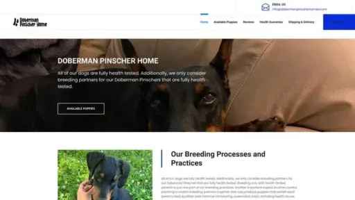 Screenshot of|