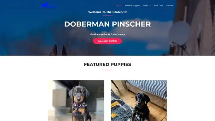 Screenshot of