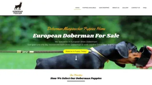 Screenshot of