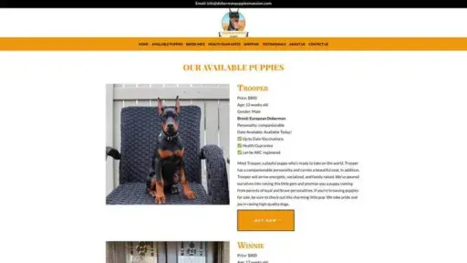 Screenshot of