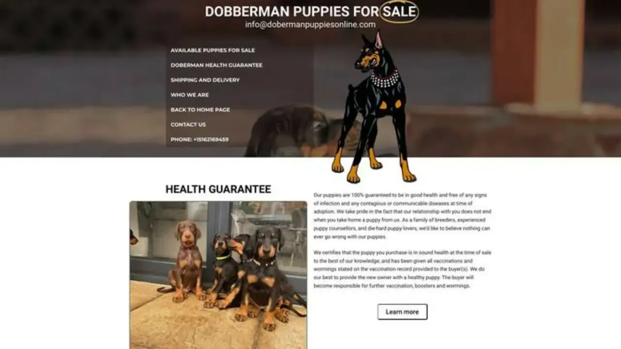 Dobermanpuppiesonline