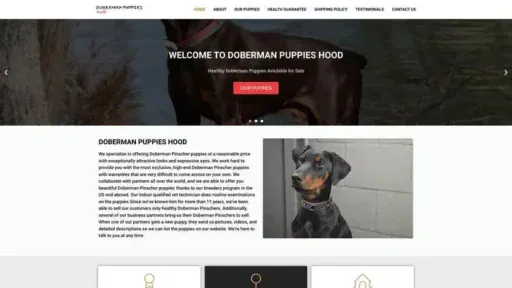 Screenshot of