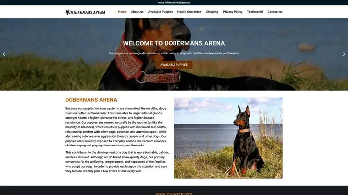 Screenshot of